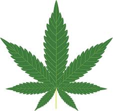Marijuana Charges Illegal Weed Possession Toms River NJ