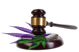 Arrested for Marijuana Possession Ocean Twp NJ Defense Attorneys